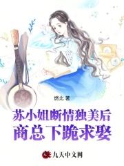 苏小姐是什么电视剧里的人物 苏小姐是什么电视剧里的人物